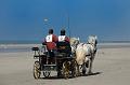 _D3X2209-Marathon des dunes de Fland